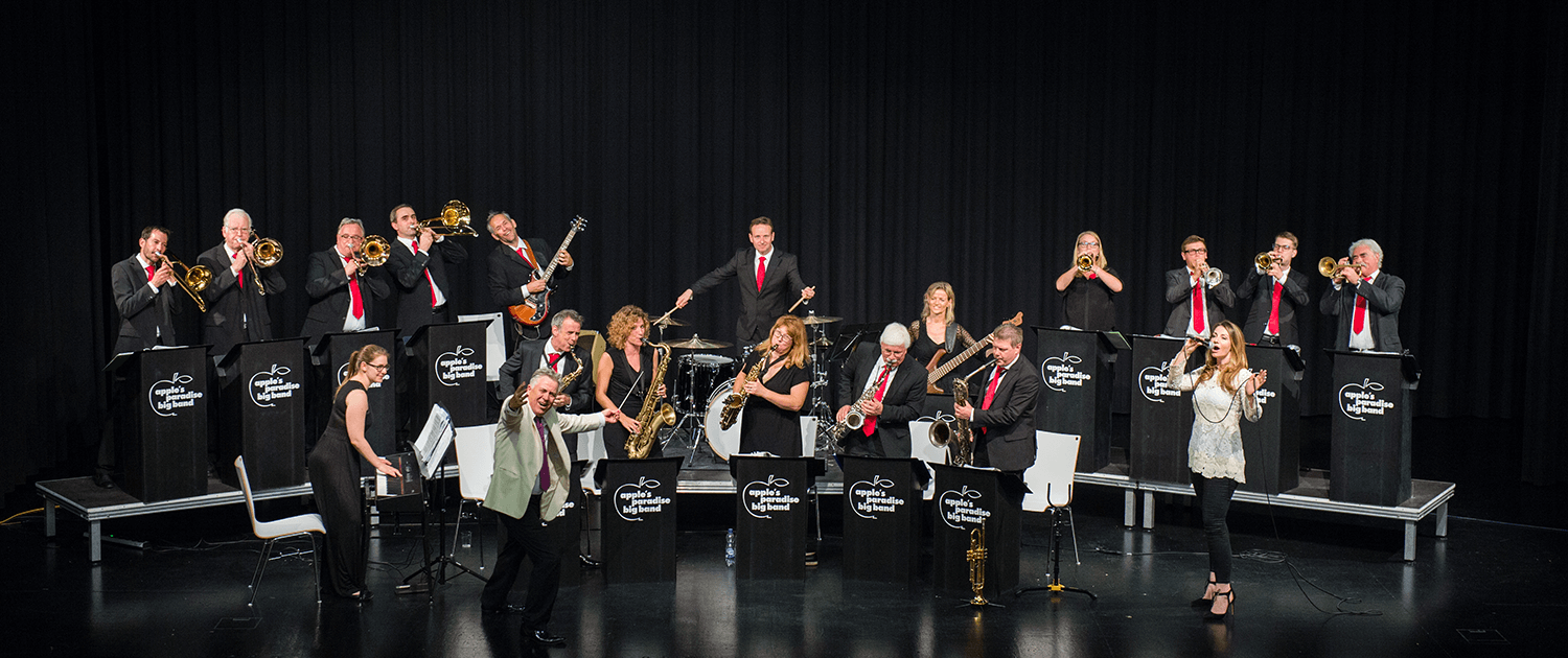 APBB_Band_01
